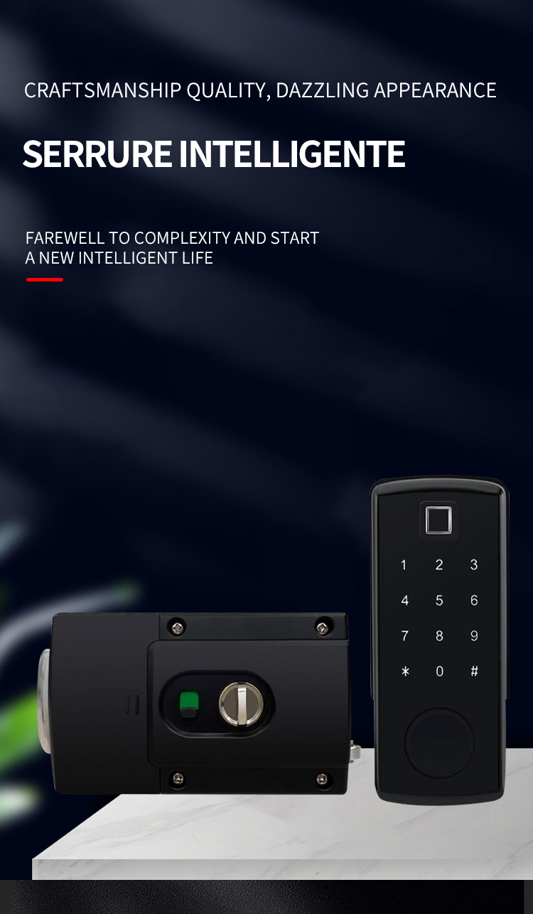 fingerprint door lock handle