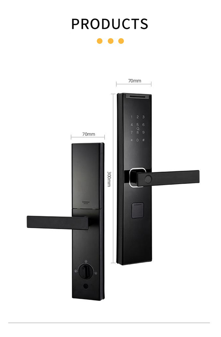 smart door lock