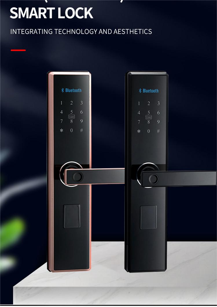 smart door lock