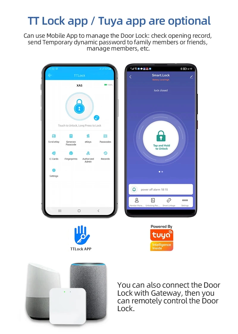 smart door lock