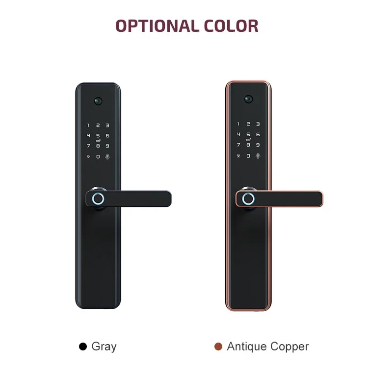 smart door lock
