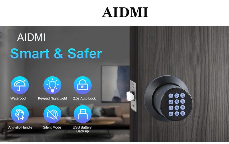 Password Key Electronic