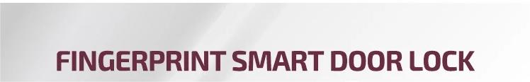 smart door lock
