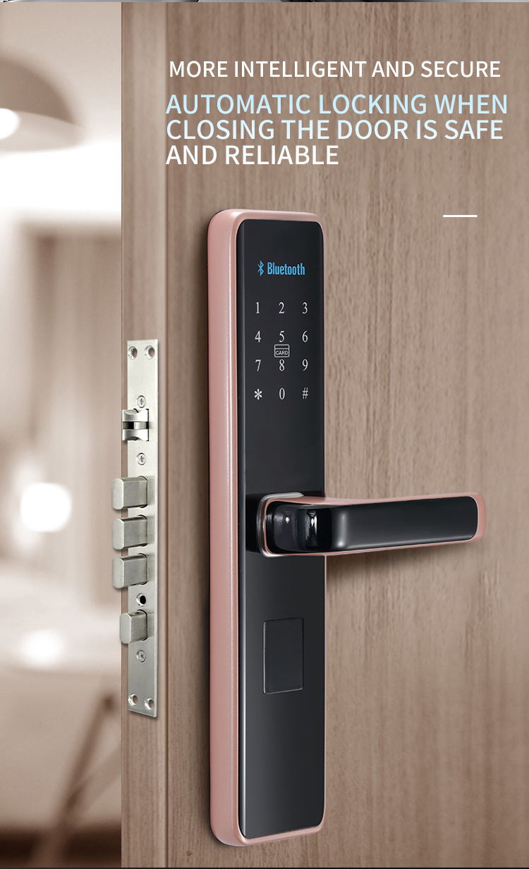 smart door lock