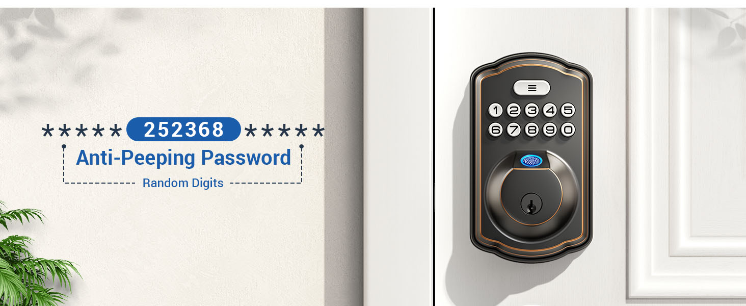 Electronic Security