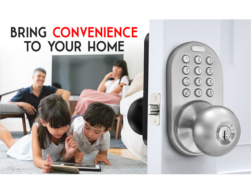 Password Key Electronic