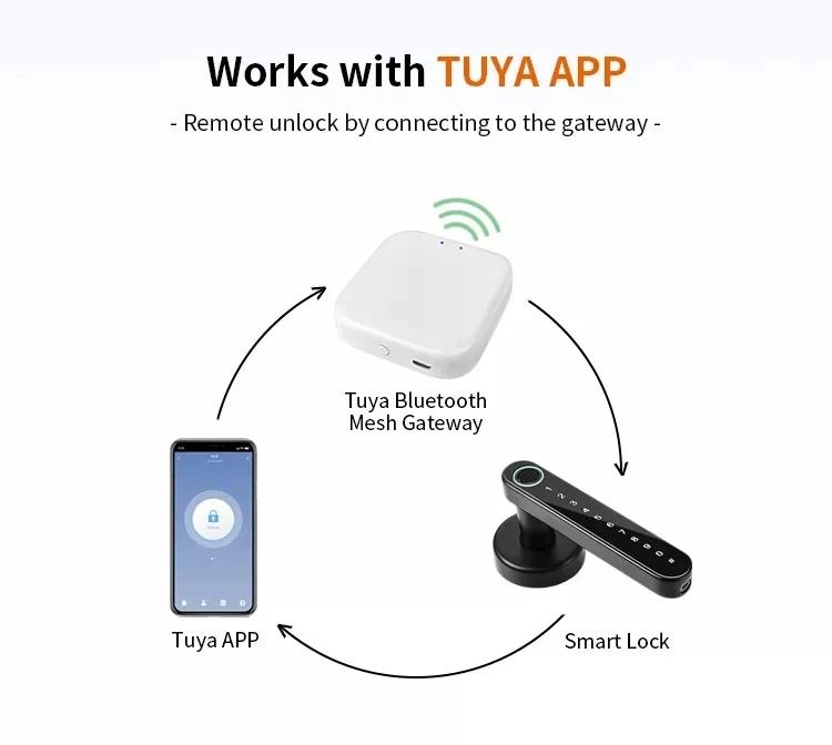 smart door lock