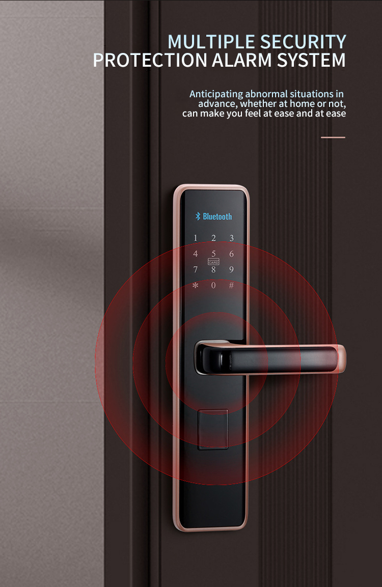 smart door lock