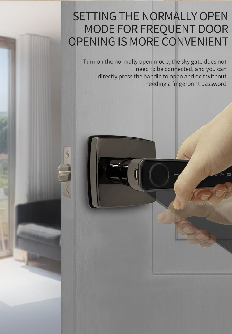 smart door lock