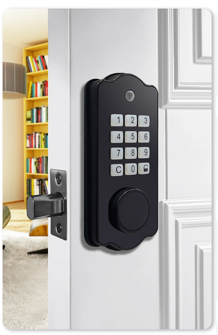 smart door lock