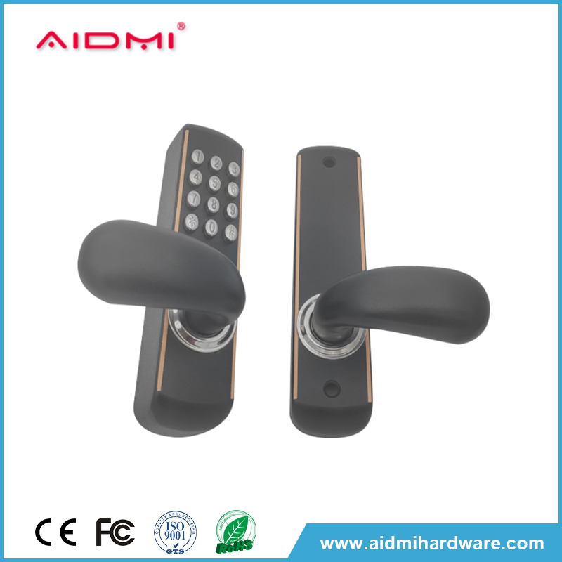 The Future of Home Security: Commercial Smart Door Locks
