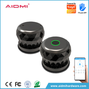 Tuya APP Mobile Remote Control Smart Fingerprint Latch Lock Indoor For Wooden Door