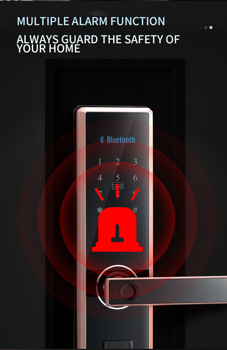 smart door lock