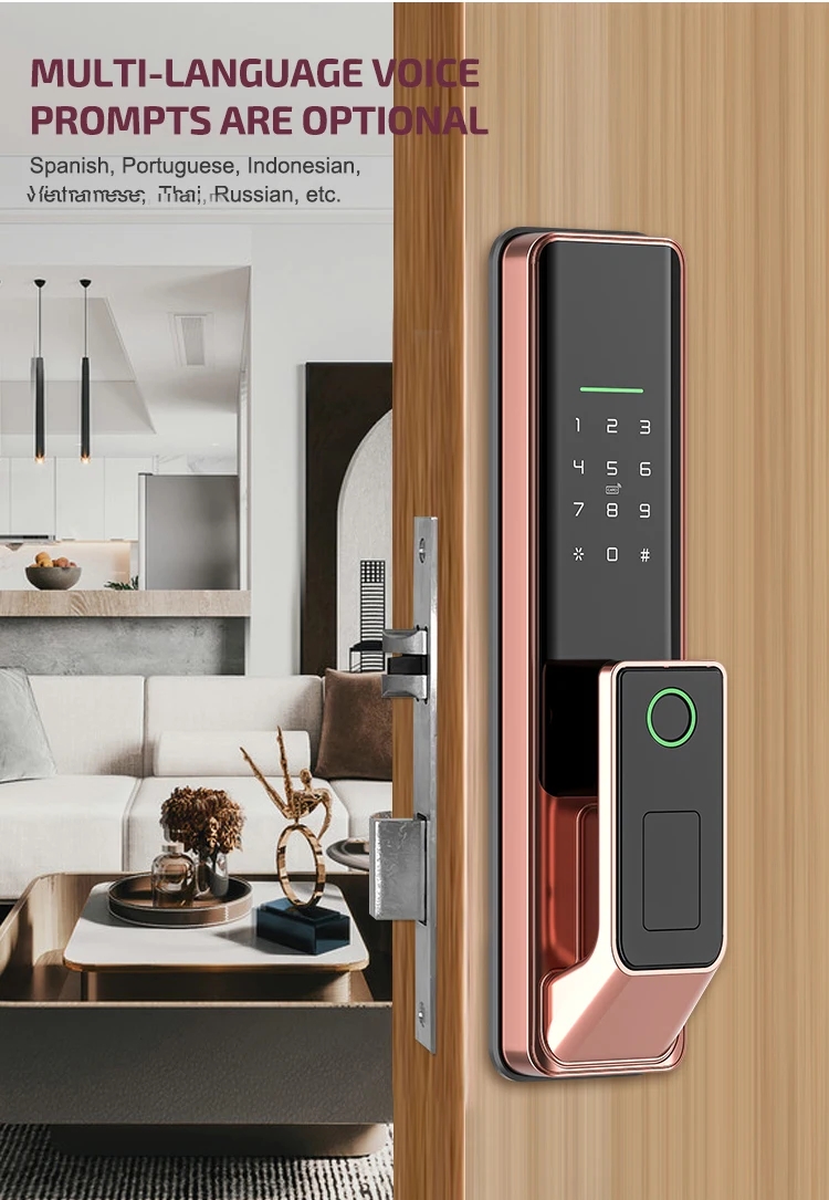 smart door lock