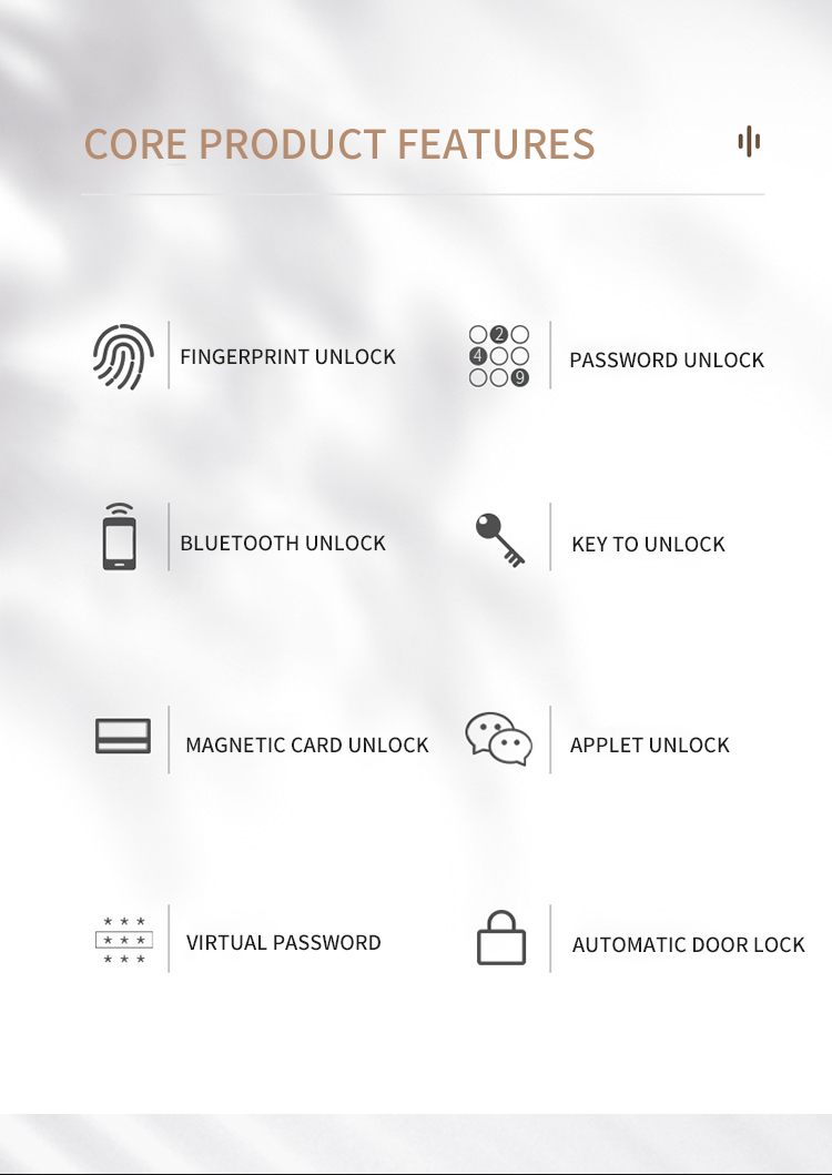 smart door lock