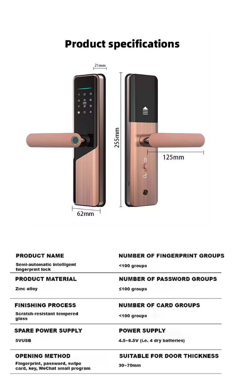door lock with TuYa APP 