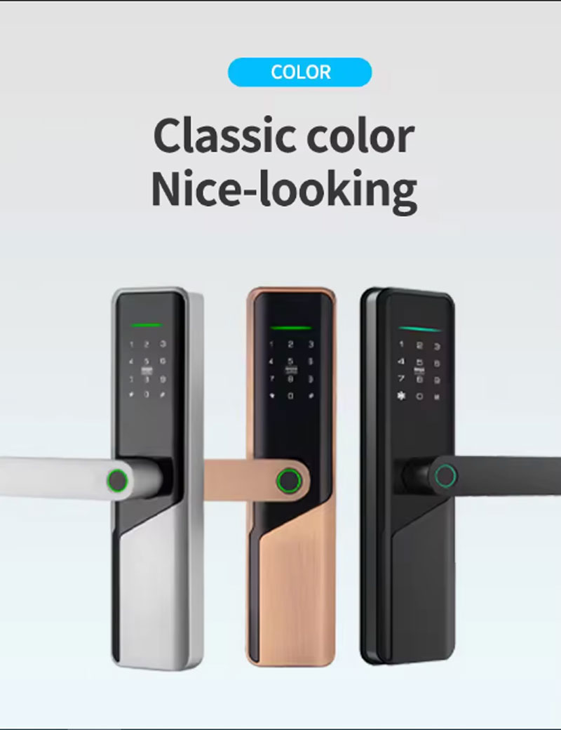 Keyless Entry Door Lock with Handle